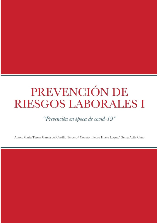 Kniha PREVENCIÓN DE RIESGOS LABORALES I María Tere GARCIA DEL CASTILLO TERCERO
