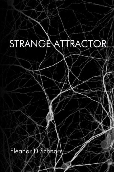 Knjiga Strange Attractor Eleanor Schnarr