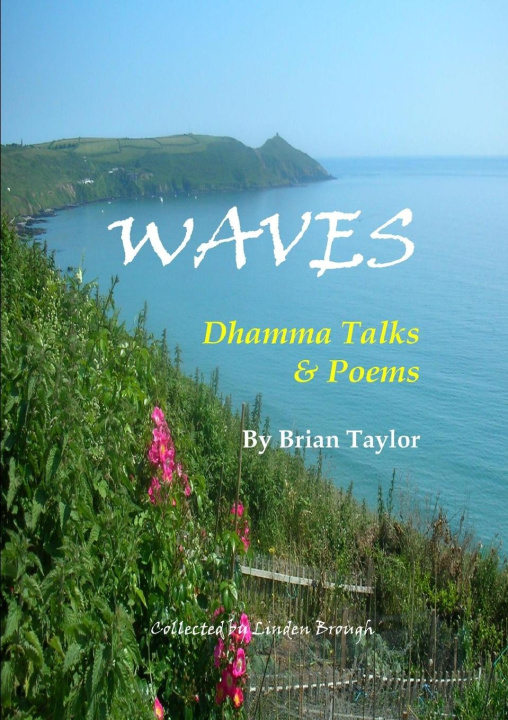Knjiga WAVES Linden Brough