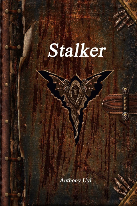 Könyv Stalker 