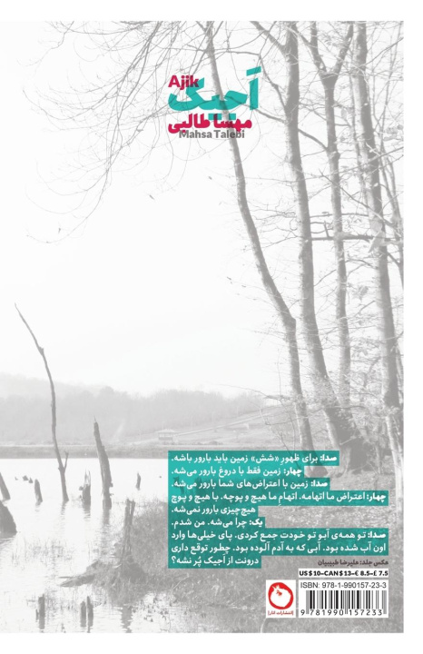 Livro Ajik Mahsa Dehghanipour