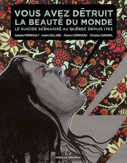 Knjiga VOUS AVEZ DETRUIT LA BEAUTE DU MONDE PERREAULT ISABELLE