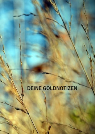 Knjiga Deine Goldnotizen Marco Damberger