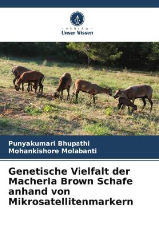 Könyv Genetische Vielfalt der Macherla Brown Schafe anhand von Mikrosatellitenmarkern Mohankishore Molabanti