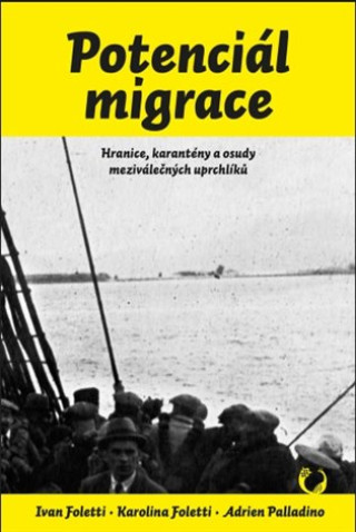 Книга Potenciál migrace Ivan Foletti