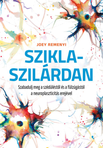 Kniha Sziklaszilárdan Joey Remenyi