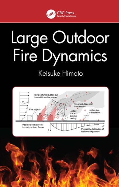 E-kniha Large Outdoor Fire Dynamics Keisuke Himoto