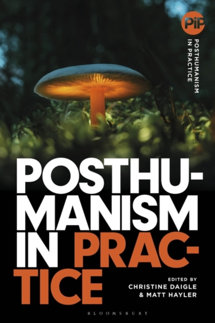 E-knjiga Posthumanism in Practice Daigle Christine Daigle