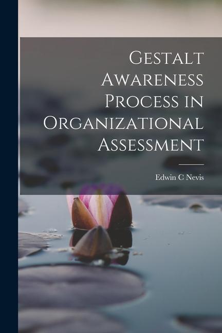 Kniha Gestalt Awareness Process in Organizational Assessment 