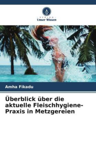 Kniha Überblick über die aktuelle Fleischhygiene-Praxis in Metzgereien 