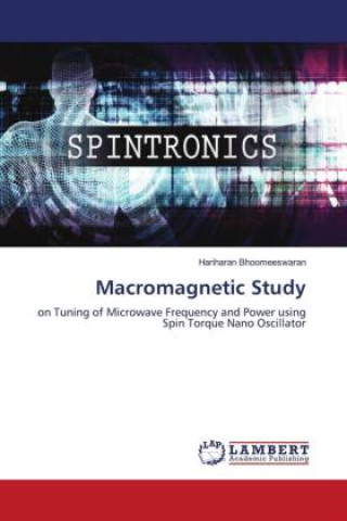 Knjiga Macromagnetic Study Hariharan Bhoomeeswaran