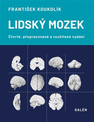 Book Lidský mozek František Koukolík