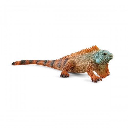 Book Iguana SLH14854 