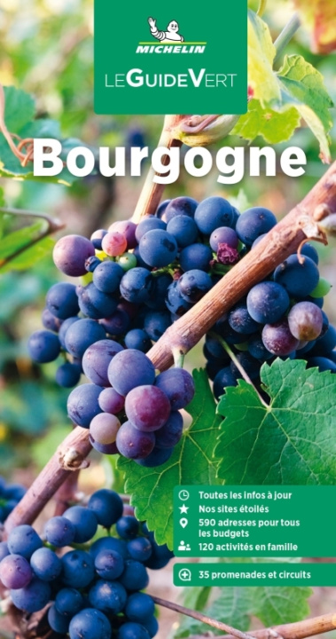 Kniha Guide Vert Bourgogne 