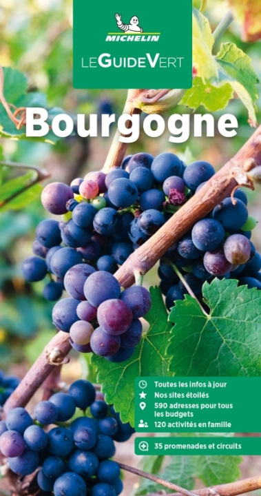 Könyv Guide Vert Bourgogne 