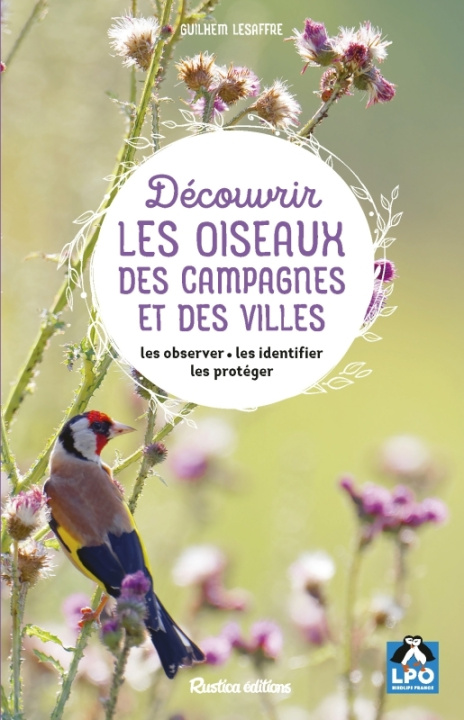 Kniha Découvrir les oiseaux des campagnes et des villes Guilhem Lesaffre