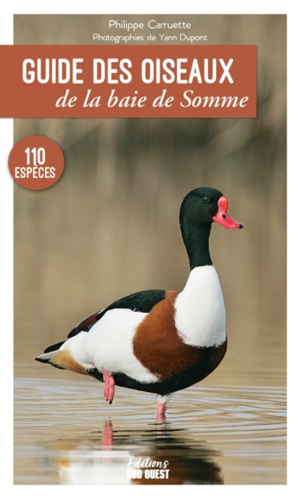 Kniha Guide des oiseaux de la baie de Somme. Les connaître et les observer Philippe Carruette