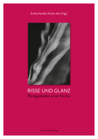 Kniha Risse und Glanz Emilia Handke
