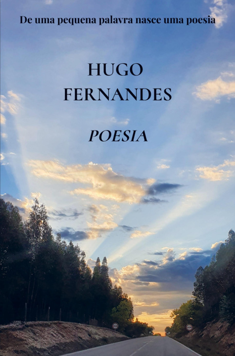 Buch Poesia Hugo  Fernandes