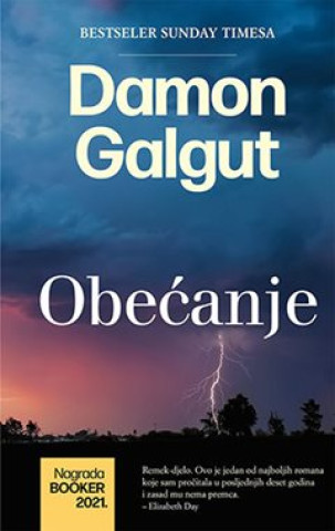 Kniha Obećanje Damon Galgut