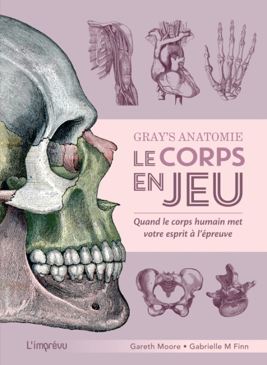 Gray's Anatomie - Le Corps En Jeu. Quand Le Corps Humain Met Votre ...