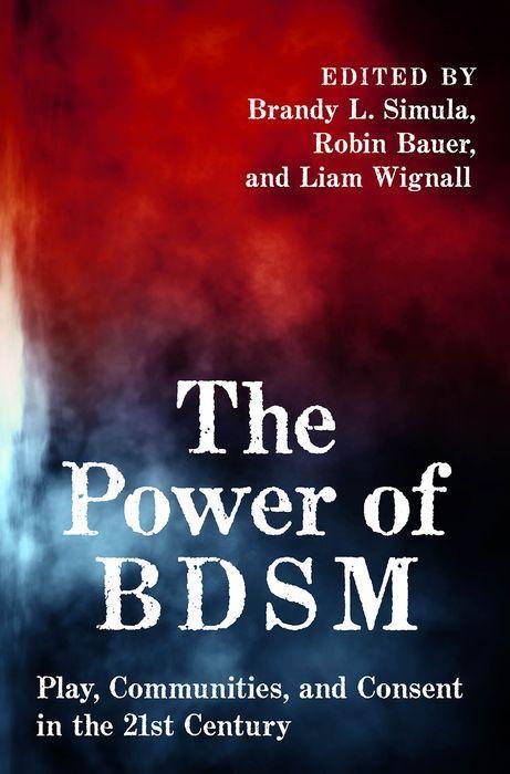 Kniha Power of BDSM 