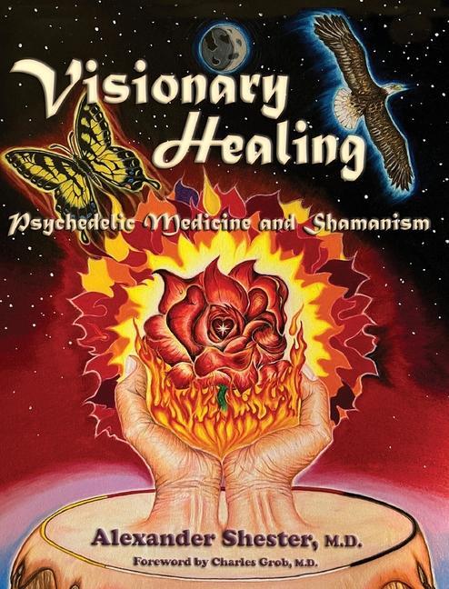 Book VISIONARY HEALING Psychedelic Medicine and Shamanism 