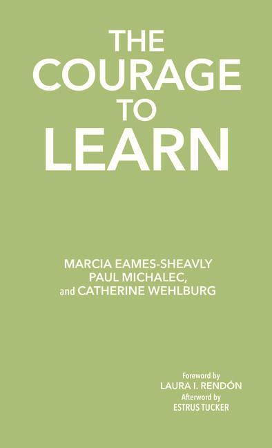 Könyv The Courage to Learn: Honoring the Complexity of Learning for Educators and Students Paul Michalec