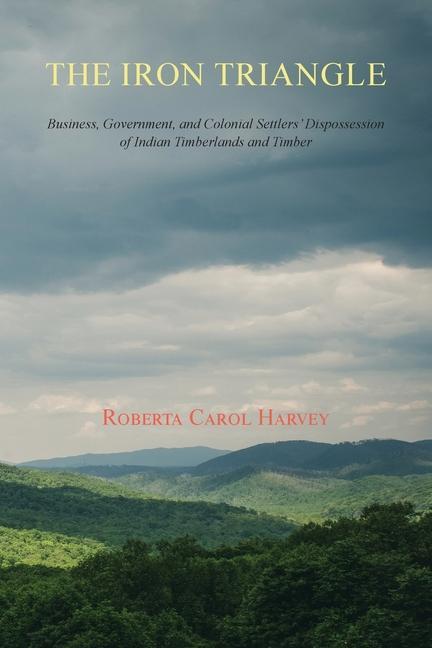 Book The Iron Triangle Roberta Carol Harvey