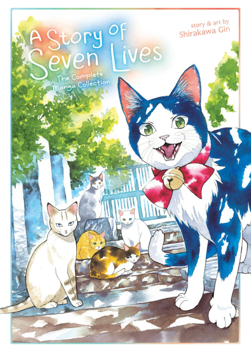 Könyv A Story of Seven Lives 