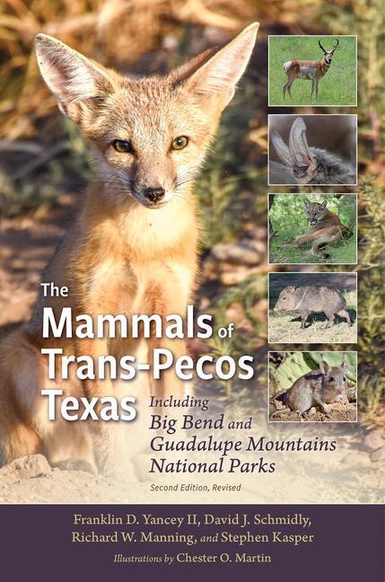 Knjiga The Mammals of Trans-Pecos Texas: Including Big Bend and Guadalupe Mountains National Parks David J. Schmidly