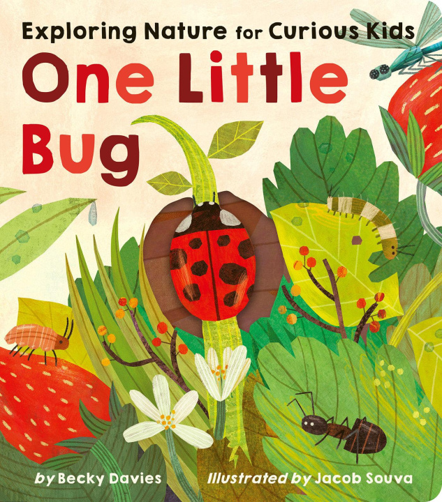 Buch One Little Bug Jacob Souva