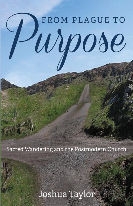 Knjiga From Plague to Purpose Joshua Taylor