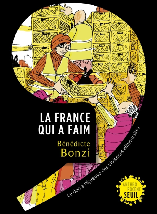 Kniha La France qui a faim. Le don à l épreuve des violences alimentaires Bénédicte Bonzi