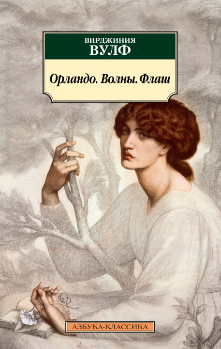 Book Орландо. Волны. Флаш Вирджиния Вулф