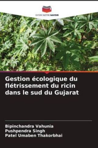 Buch Gestion écologique du flétrissement du ricin dans le sud du Gujarat Pushpendra Singh