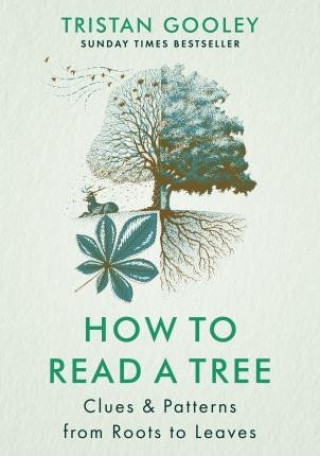 Kniha How to Read a Tree Tristan Gooley