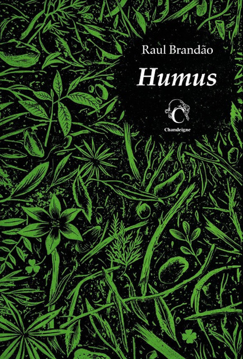 Boek Humus Raul BRANDÃO