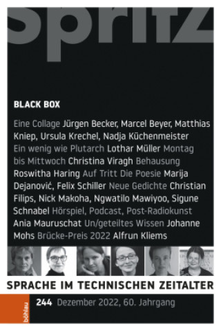 Kniha Black Box Thomas Geiger