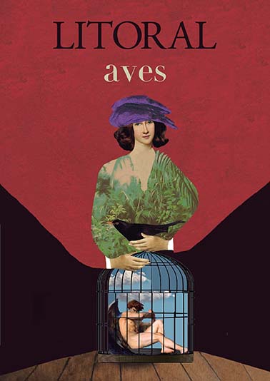 Libro AVES 