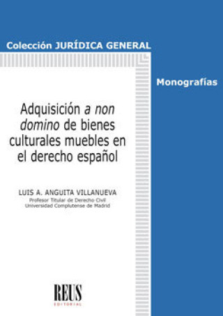 Kniha LA ADQUISICION A NON DOMINO DE BIENES CULTURALES MUEBLES EN ANGUITA VILLANUEVA