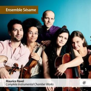 Zvok Complete Instrumental Chamber Works 