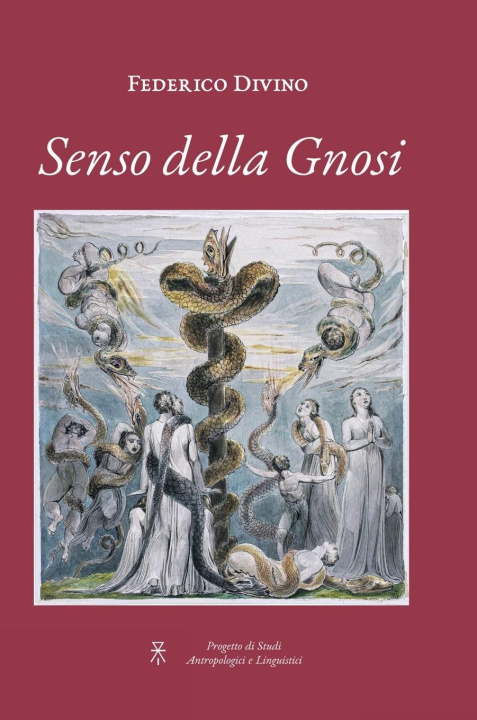 Buch Senso della Gnosi: Sapienza, Tempo e Meditazione Federico Divino