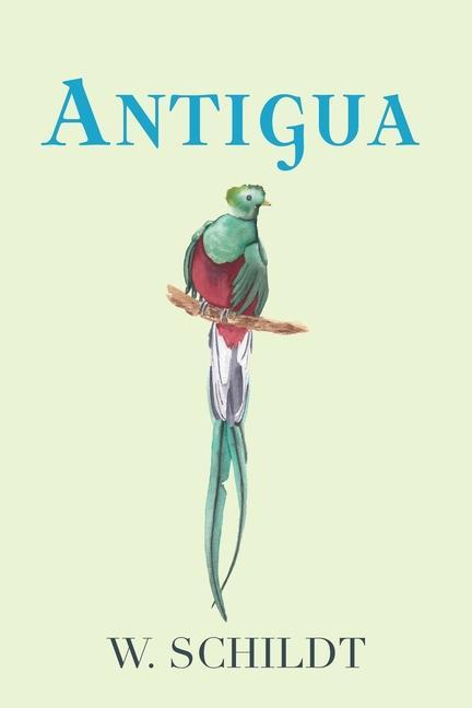 Knjiga Antigua W. Schildt