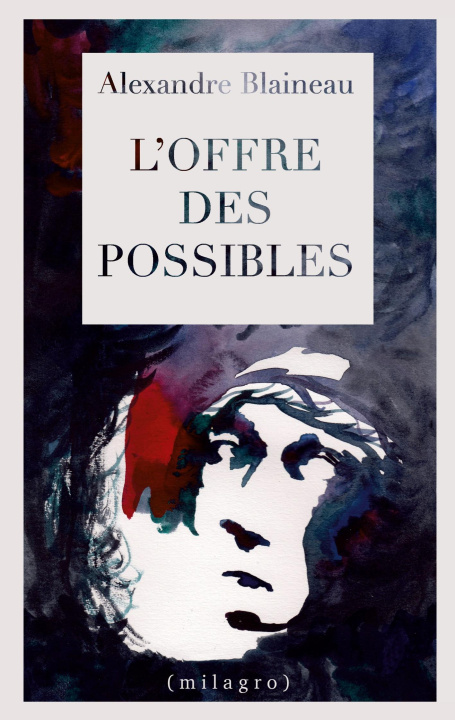 Book L'offre des possibles Blaineau