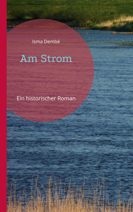 Knjiga Am Strom Georg Bergner