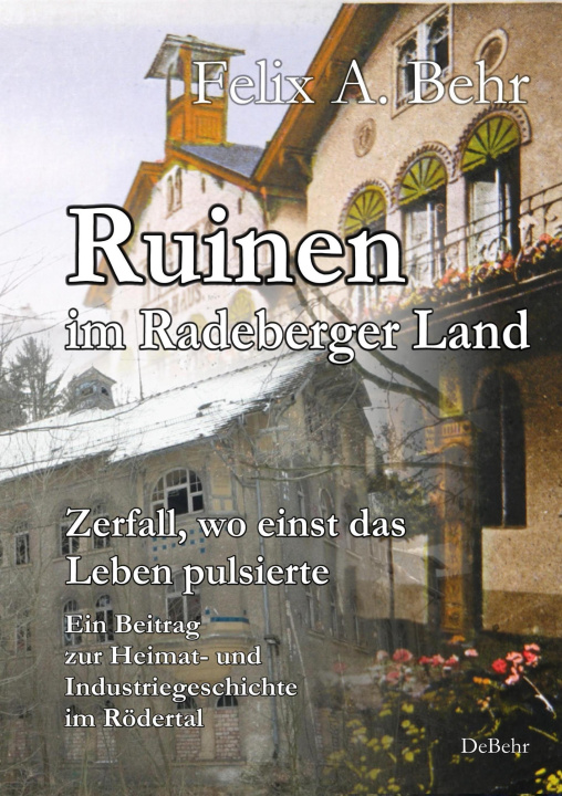 Книга Ruinen im Radeberger Land - Zerfall, wo einst das Leben pulsierte - Ein Beitrag zur Heimat- und Industriegeschichte im Rödertal 