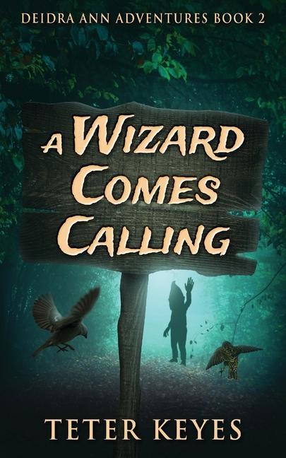 Book A Wizard Comes Calling Teter Keyes