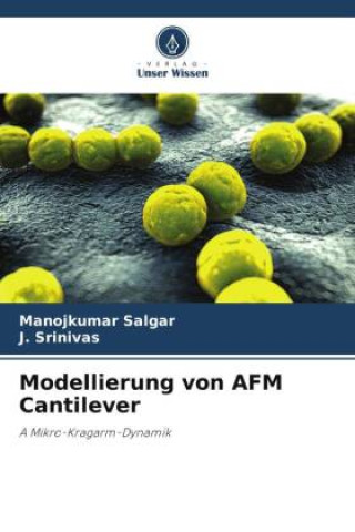 Buch Modellierung von AFM Cantilever J. Srinivas