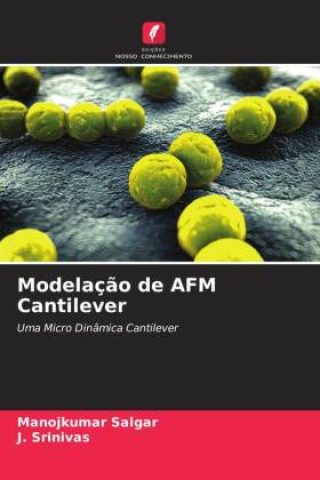 Knjiga Modelaç?o de AFM Cantilever J. Srinivas